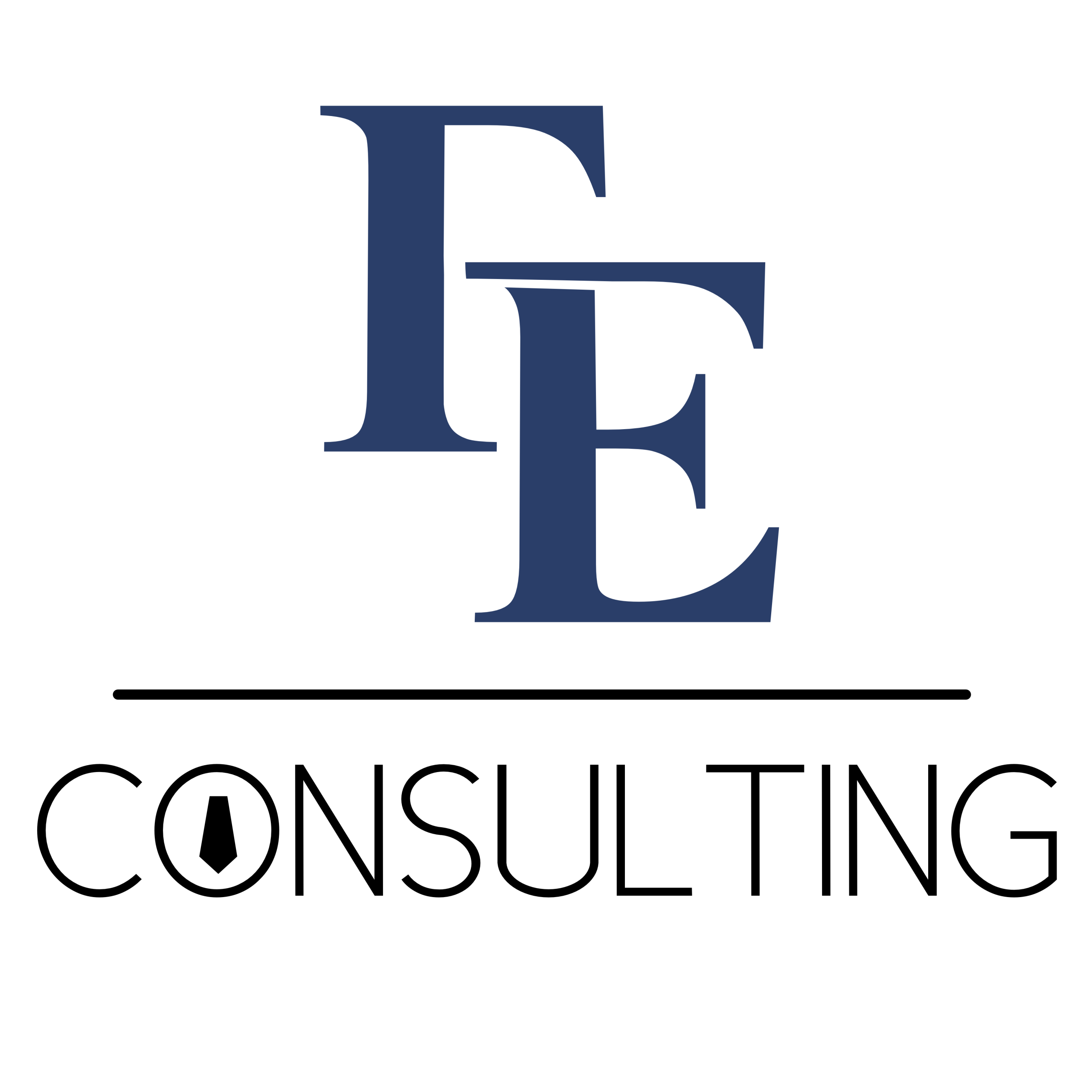 FE Consulting